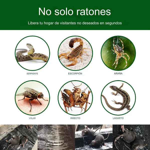 TRAMPA ADHESIVA PARA RATAS 🐀 (2 TRAMPAS ADHESIVAS) + ENVIO GRATIS